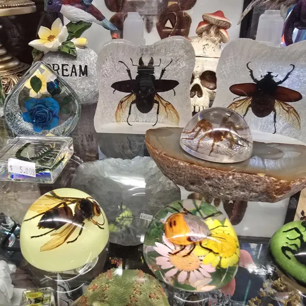 happy-daze-gift-shop-springfield-il-gifts-33