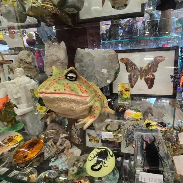 happy-daze-gift-shop-springfield-il-gifts-34